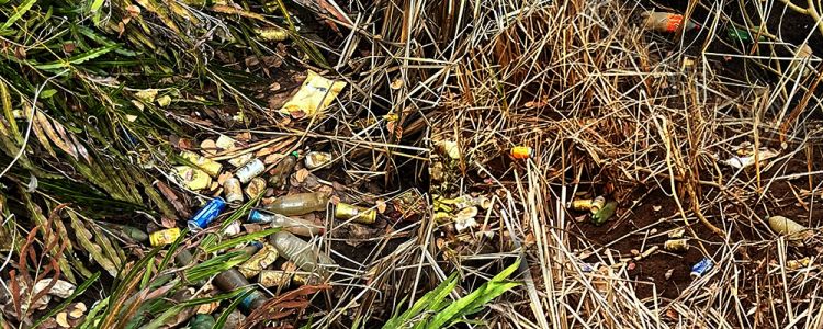 déchets sur les plages de l'île Maurice